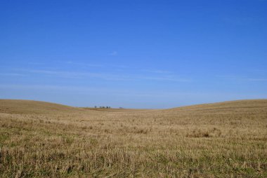 Toprak sürme, tarım konsepti, Ukrayna