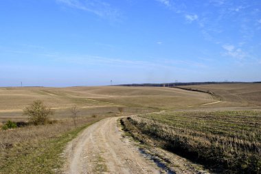 Ukrayna 'da bir köy yolu olan manzara