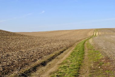Büyük bir saman balyasıyla tarla manzarası