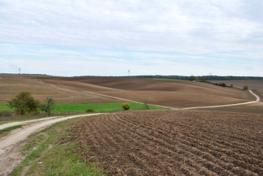 Kırsal alanlarda yol