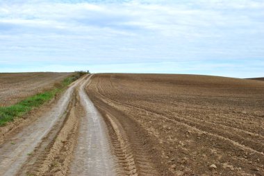 toprak yol ve tarlalar
