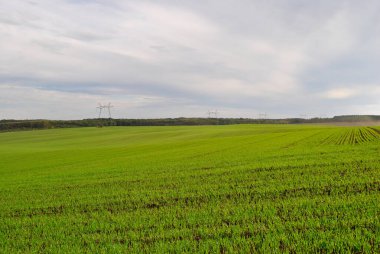 tarımsal alan, kırsal alan