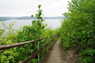 Nehrin güzel manzarası