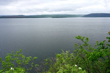 Yeşil çimenli güzel göl