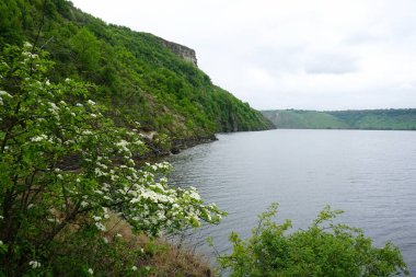 Güzel göl manzarası