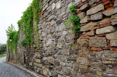 old stone wall with ivy and plants