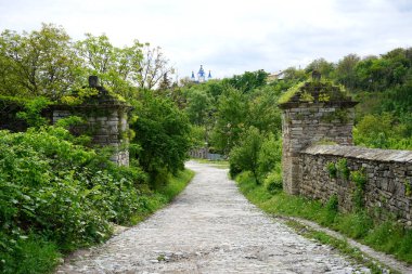 Yeşil çimenli eski taş duvar