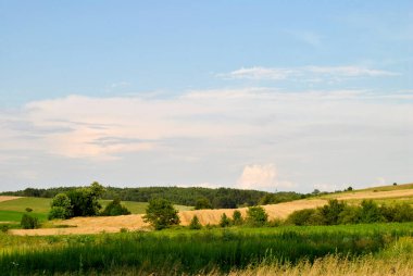 Yeşil çimlerle kaplı arazide