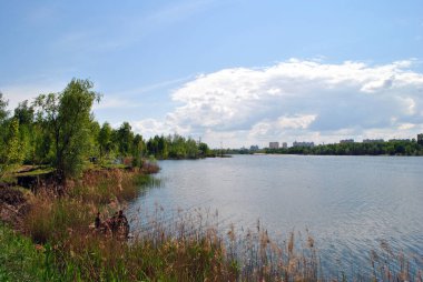 Güneşli bir günde bir parkta yaz manzarası.