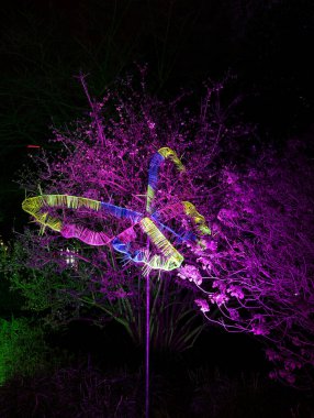Frankfurt, Almanya - 28 Aralık 2022: Event Winterlichter 'da Palmengarten Frankfurt' ta bulunan bir kelebek heykeli