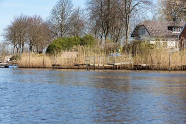 Kanaldan Friedrichstadt 'ta çimenler, sazlıklar, ağaçlar ve iskeleli bir ev manzarası.