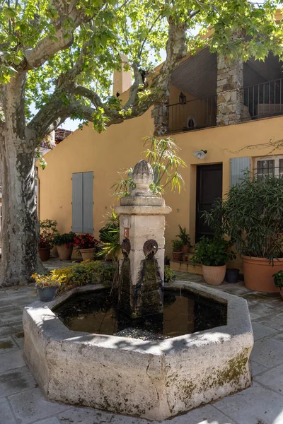 Cote d 'Azur, French Riviera' da çeşme ve bitkilerle tipik güney yakası sokağı.