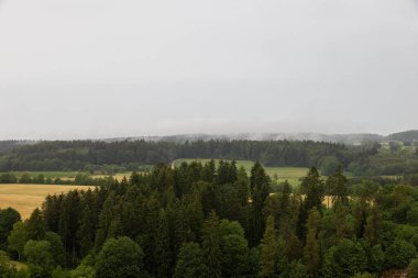 Baden Wuerttemberg 'de ormanlar, yaprak döken ve kozalaklı ağaçlar, tarlalar, sis ve bulutlu bir yaz gününde alçak bulutlar