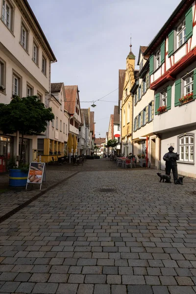 Cidade Velha Histórica Riedlingen Baden Wuerttemberg Verão Com Ninho Cegonha — Fotografia de Stock