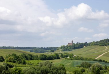 Heilbronn bölgesindeki Stocksberg Şatosu 'nda yeşil üzüm bağları ve ormanlar üzerinde