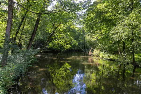 River with naturally grown trees and bushes as a wilderness, taken in summer