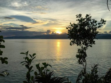 Güney, akşam havası, gün batımında deniz ve bitkiler.