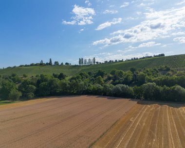 Ağaçları ve çayırları olan üzüm bağları yazın yukarıdan çekiliyor.