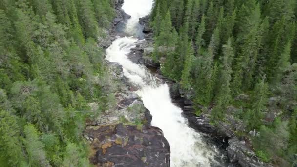 ノルウェーの山々を持つ典型的な小さな滝 — ストック動画