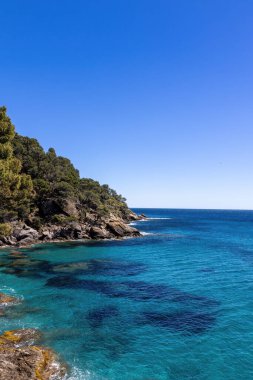 Baharda Fransa 'da Akdeniz' deki kayalıklar