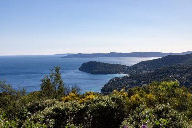Akdeniz 'deki Hyeres adalarında takımadalar. Önlerinde çiçekler var.