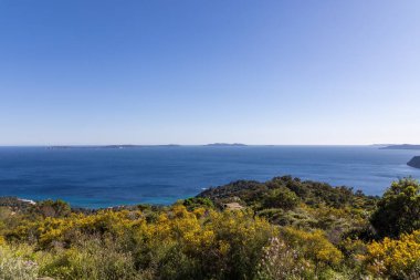 Akdeniz 'deki Hyeres adalarında takımadalar. Önlerinde çiçekler var.
