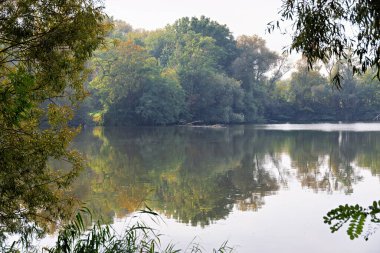Sonbaharda Kassel 'deki Fuldaauen Gölü' nde kısmi sis vardı.