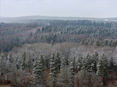 Kışın hafif karla kaplı ağaçları ve arka planda dağları olan Swabian Alb 'i