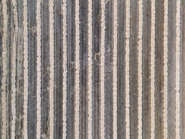 Mısır tarlası, olgun ve sarı, yukarıdan alınan çeşitli yapılar, İHA atışı.