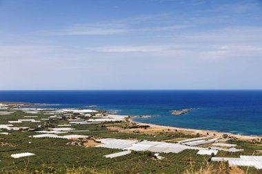 Yazın sonlarında Yunanistan 'ın Girit adasındaki zeytinliklere bakan Falasarna plajı
