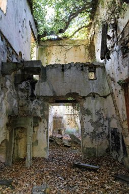 Yunanistan 'ın Girit adasında eski, terk edilmiş, aşırı gelişmiş, çökmüş bir ev.