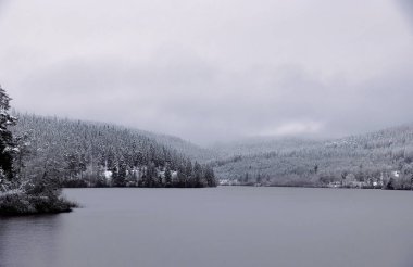 Schwarzenbach Barajı kışın karla kaplı ağaçlarla Kara Orman 'da
