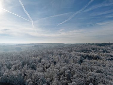 Almanya 'da kış manzarası Ağaçlarda ve tarlalarda donmuş buzlar, İHA ateşi