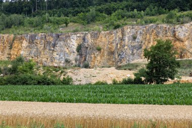 Yazın Swabian Alb 'deki ormanın kıyısındaki taş ocağı.