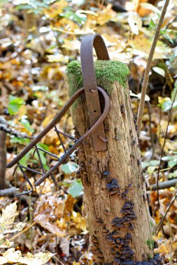Eski, kısmen çürümüş bir bariyer. Paslı demir tesisatı var.