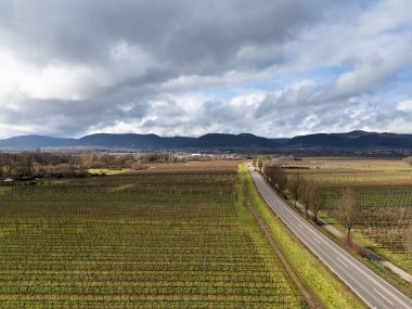 Ön planda Maikammer ve Hambach kasabasının yanı sıra üzüm bağları ile Palatinate Ormanı