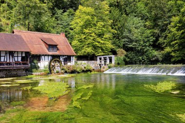 Blaubeuren 'deki Blautopfsee' de yazın yarım keresteli su değirmeni manzarası.