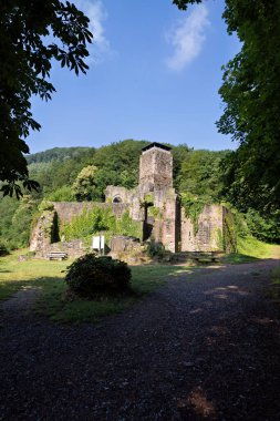 Heidelberg yakınlarındaki Neckar 'da Neckarsteinach' in kısmen harabeye dönmüş kalesi.