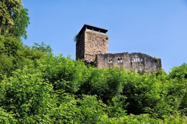 Heidelberg yakınlarındaki Neckar 'da Neckarsteinach' in kısmen harabeye dönmüş kalesi.