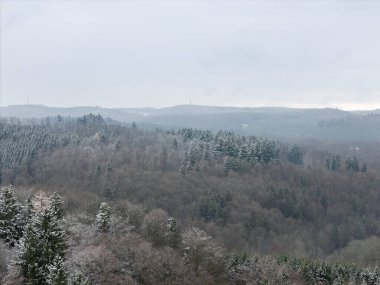 Kara Orman 'da kış manzarası. Ağaçlarda ve tarlalarda donmuş buzlar var. Kar ve insansız hava aracı ateşi.