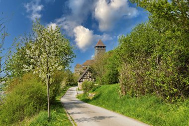 Ludwigsburg ilçesine bağlı Oberstenfeld yakınlarındaki Staufer Şatosu Lichtenberg 'de Baden Wuerttemberg' de baharda filizlenen meyve ağaçları yoldan fotoğraflandı.