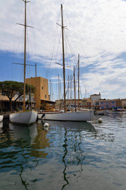 Grimaud Limanı 'nda gemiler, yatlar, rıhtımlar, dükkanlar ve konut binaları var.