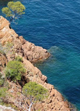 Baharda Fransız Rivierası 'nda, Cote d' Azur 'da tipik kızıl kaya ve kozalaklı uçurumları olan Akdeniz
