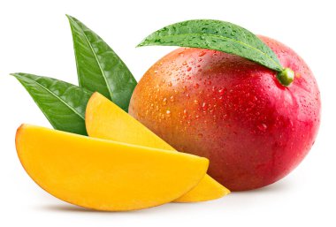 Mango leaves with Clipping Path isolated on a white background. Mango collection