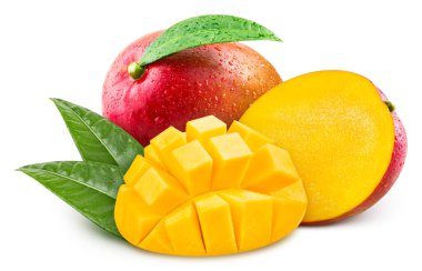 Mango leaves with Clipping Path isolated on a white background. Mango collection
