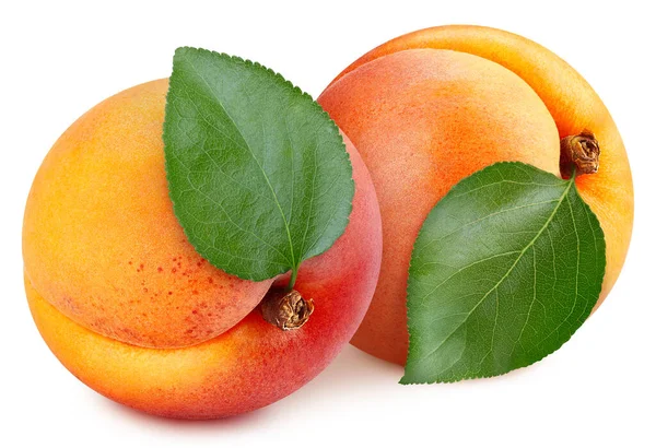 Aprikosenfrüchte Mit Blättern Auf Weißem Hintergrund Marillenschneidepfad — Stockfoto