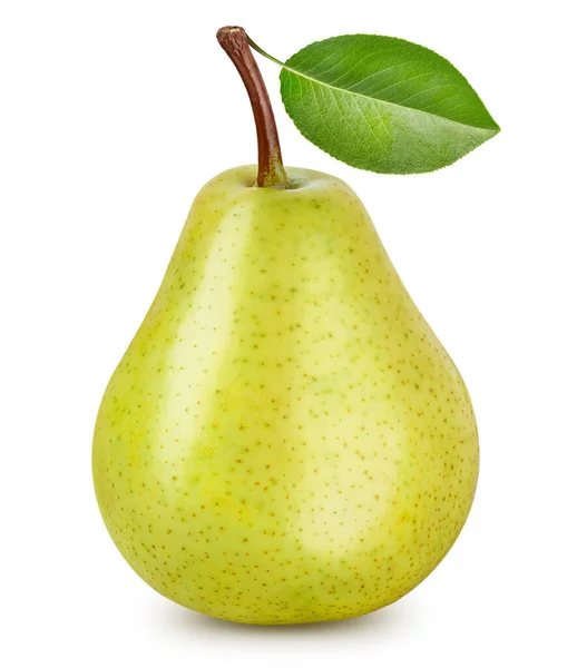 Pear Leaves Clipping Path Isolated White Background Pear Collection — Stock Photo, Image