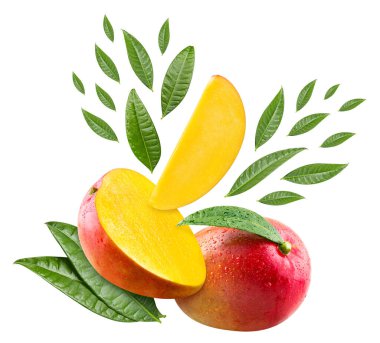 Mango kompozisyonu. Mango beyaz arka planda izole edilmiş. Profesyonel stüdyo makro çekimi