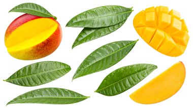 Beyaz arka planda izole edilmiş olgun mango meyveleri. Kesme yolu olan mango kompozisyonu. Mango makro stüdyo fotoğrafı