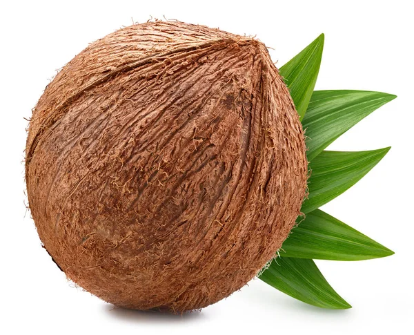 Kokosová Stříhací Cesta Zralý Celý Kokos Zeleným Listem Izolovaným Bílém — Stock fotografie